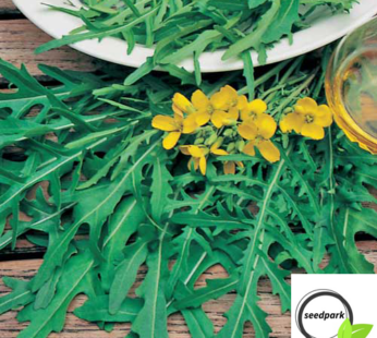 SALAT RUCOLA WILD SAMEN HERB ROCKET WILD GEMÜSESAMEN DIPLOTAXIS TENUIFOLIA RAUKE