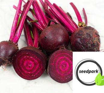 ROTE BEETE DETROIT DARK RED SAMEN BETA VULGARIS GEMÜSESAMEN