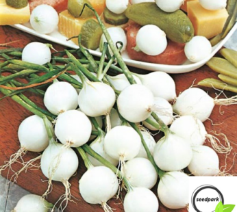SILBERZWIEBEL PARIS SILVERSKIN SAMEN ALLIUM CEPA PERLZWIEBEL ZWIEBELSAMEN GEMÜSE