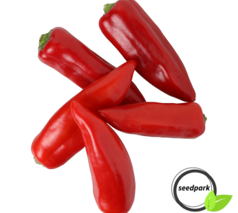 SPITZPAPRIKA ROT SAMEN CAPSICUM ANNUUM PAPRIKASAMEN OBSTSAMEN GEMÜSESAMEN